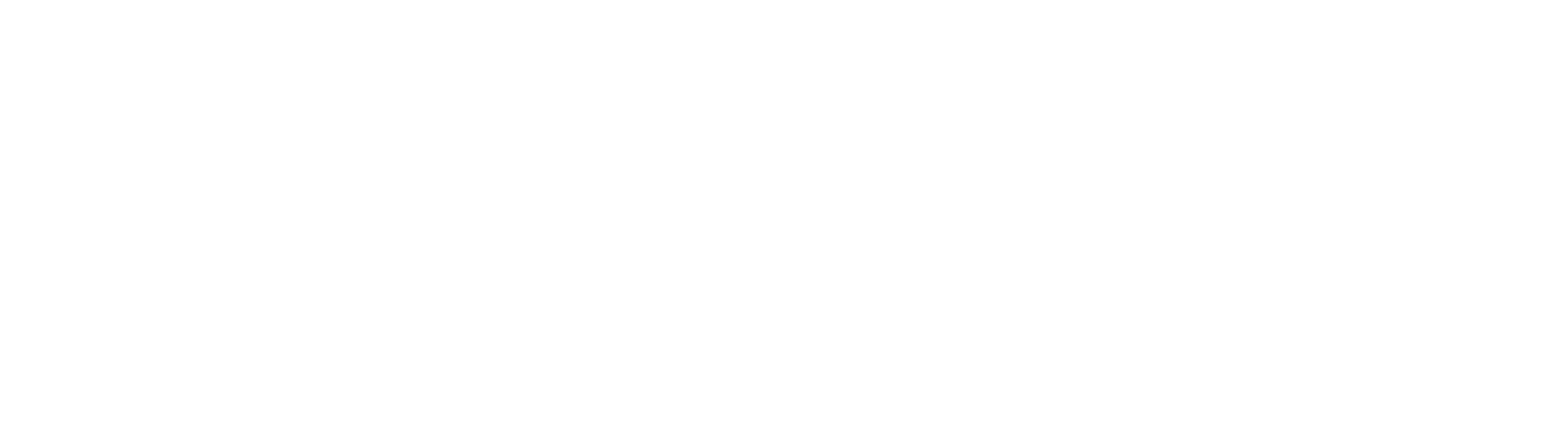 Logo Carine Polla fundo claro